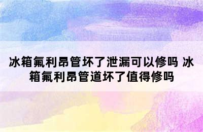 冰箱氟利昂管坏了泄漏可以修吗 冰箱氟利昂管道坏了值得修吗